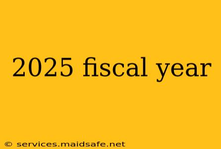 2025 fiscal year