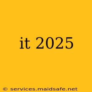 it 2025