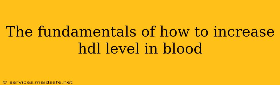 The fundamentals of how to increase hdl level in blood